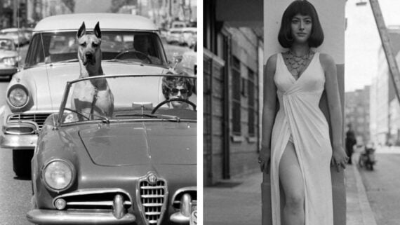 Split image: Left, a large dog sits in a classic convertible car next to a driver on a busy street. Right, a woman in a long white dress stands on a city sidewalk. Both scenes are in black and white.