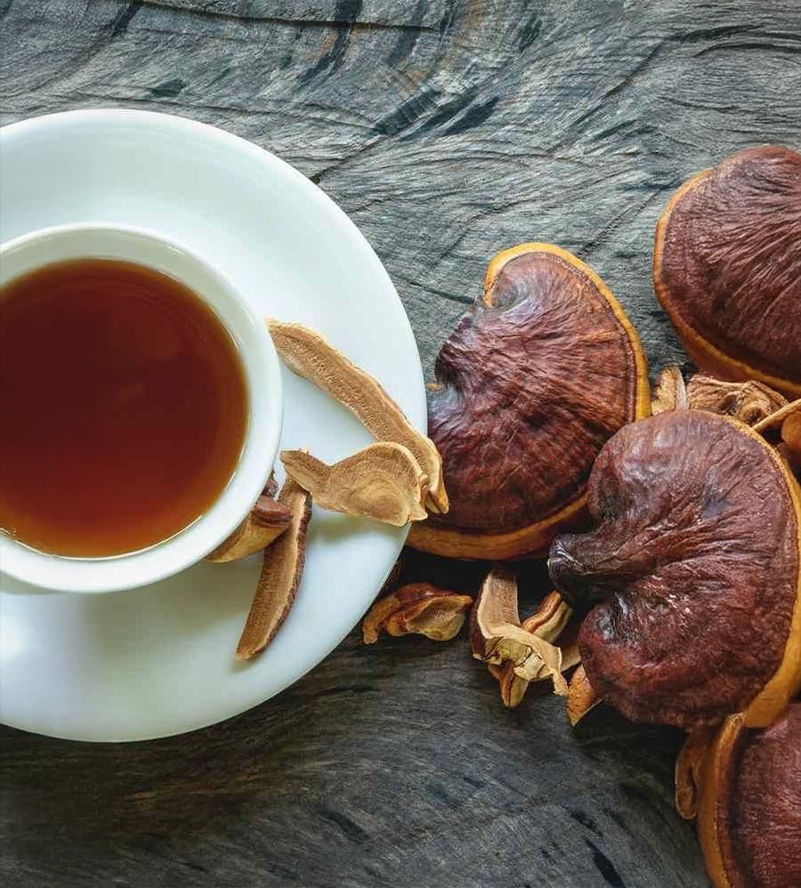 A white cup of tea sits on a saucer next to several dried reishi mushrooms on a rustic wooden surface.
