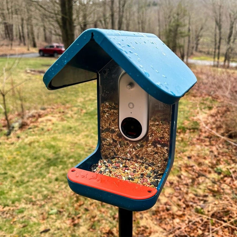 A blue bird feeder with seeds and a small white camera inside, set outdoors on a grassy area with trees and a red vehicle in the background.