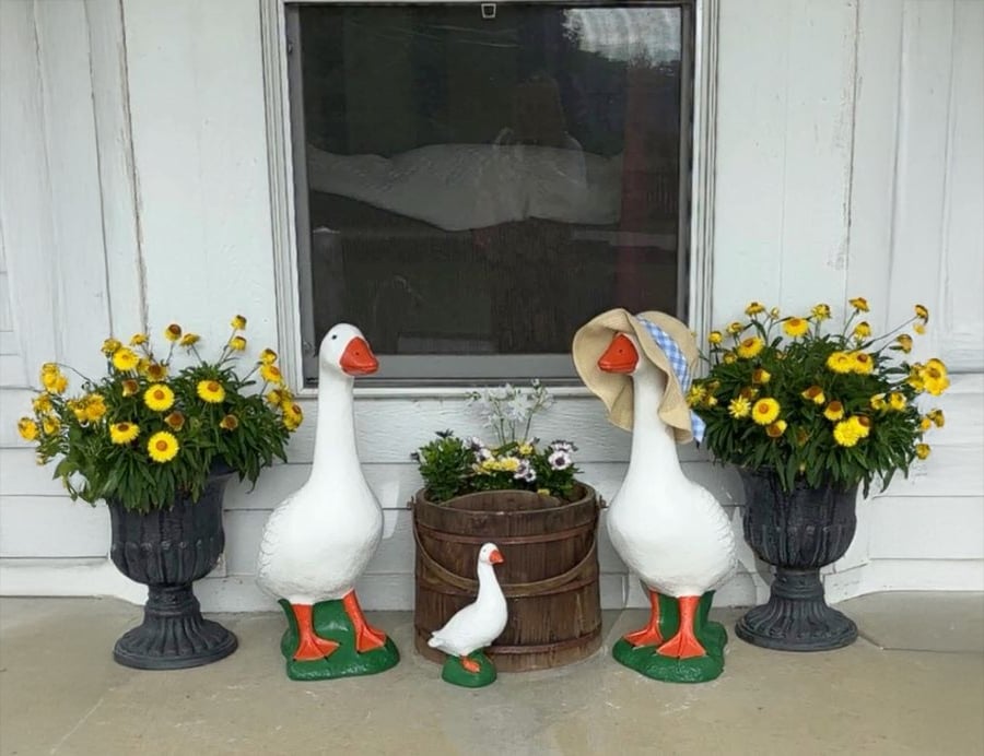 Three white goose statues, one wearing a sunhat, stand on a porch with a small barrel planter, framed by two pots of yellow daisies on either side, in front of a window with white trim.