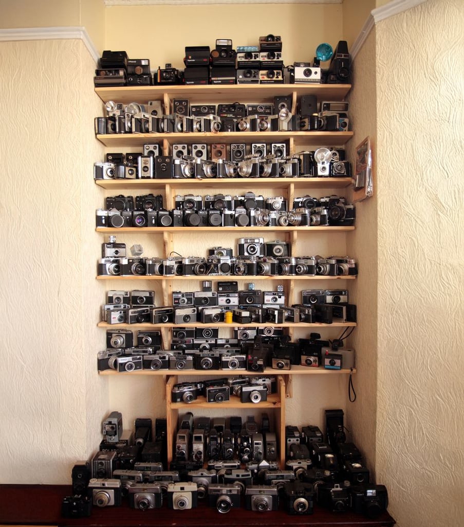 Wooden shelves filled with a large collection of vintage and modern cameras are neatly arranged against a cream-colored wall in a cozy room.