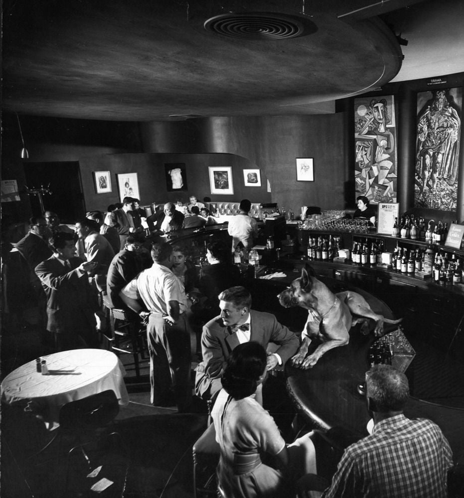 Black and white photo of a busy bar with people socializing. A large dog sits on the bar beside a man in a suit. Bottles line the bar, and abstract art hangs on the curved walls.