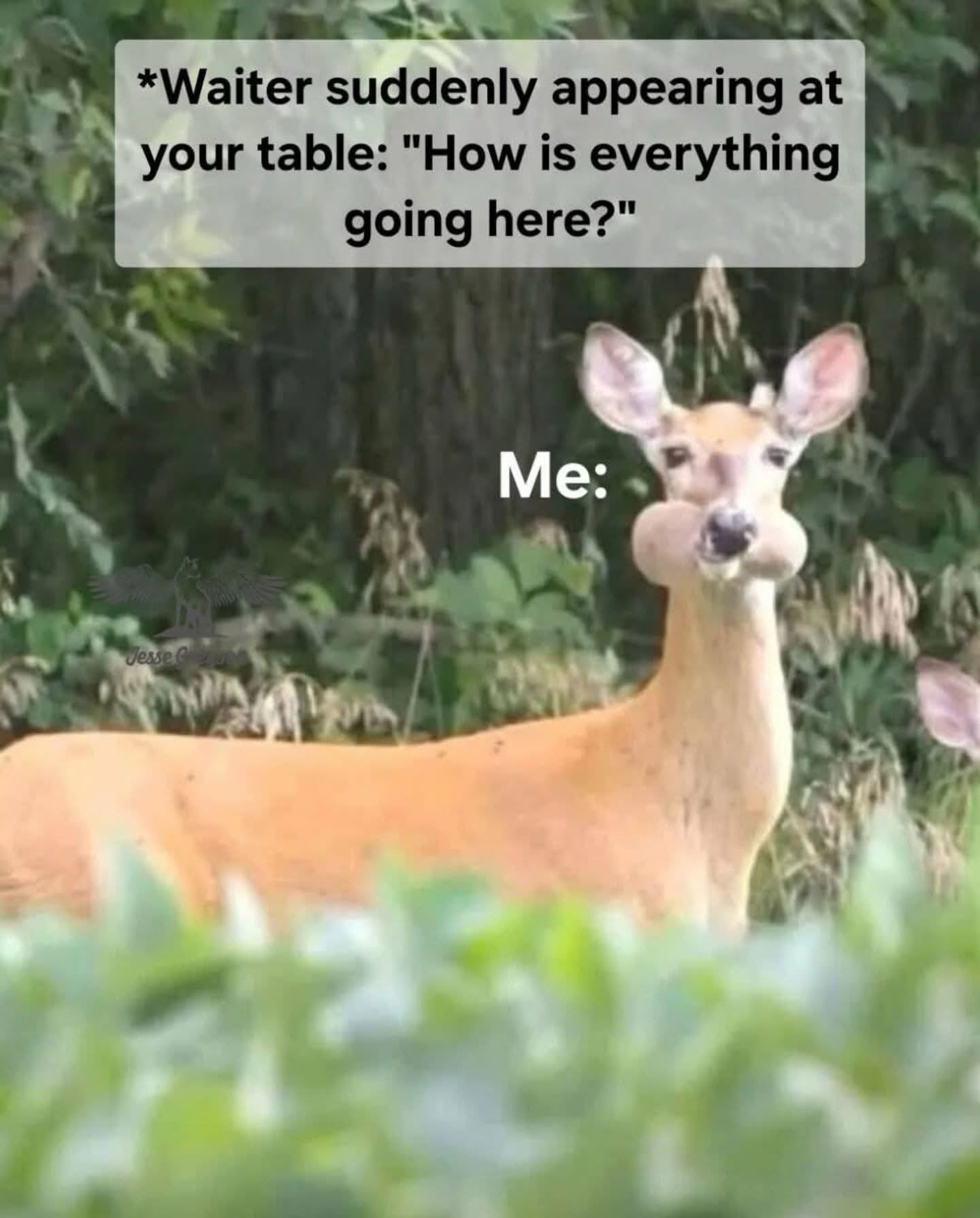 A deer with full cheeks stands alert in greenery. Text above reads: “*Waiter suddenly appearing at your table: ‘How is everything going here?’” and below: “Me:” implying surprise while eating.