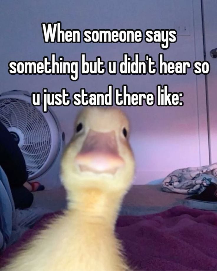 A duckling stands in the foreground with an open beak, looking confused. The text says, “When someone says something but u didn’t hear so u just stand there like:”