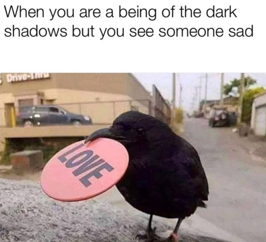 A black crow holding a pink object labeled “LOVE” in its beak stands on a street, with text above: “When you are a being of the dark shadows but you see someone sad.”