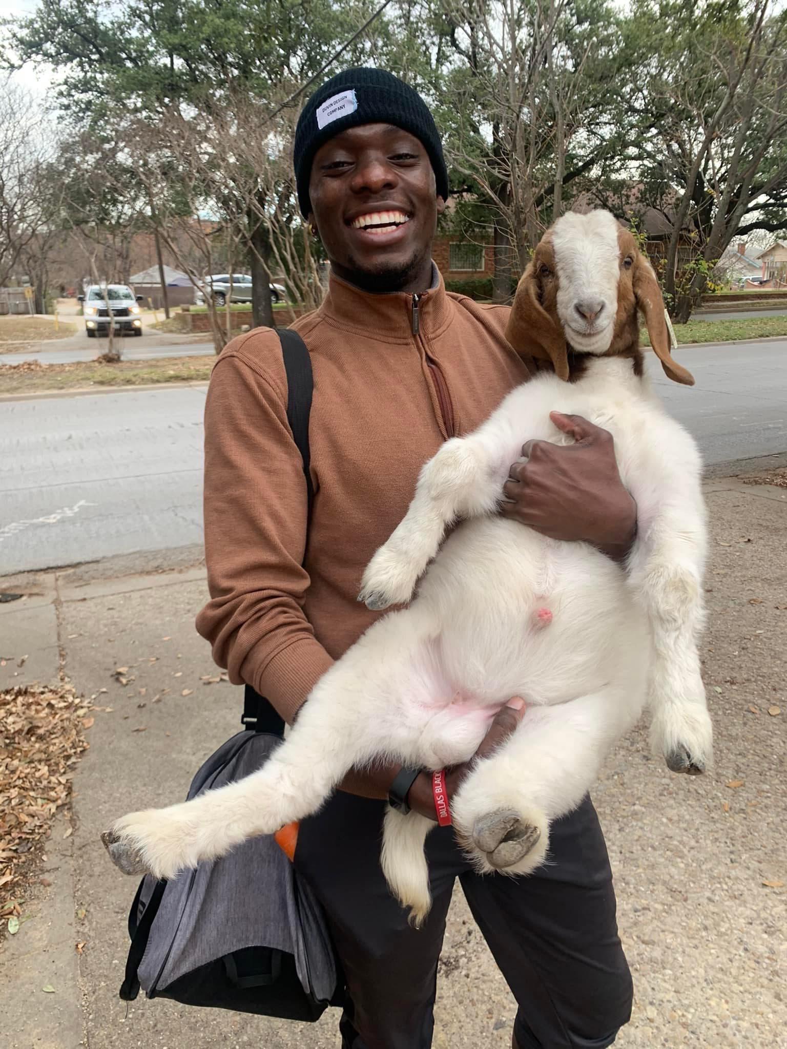 A smiling person wearing a brown jacket and black beanie holds a large white goat with brown ears on a sidewalk, with trees and houses in the background.