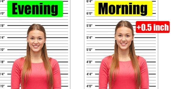 Split image of the same woman in front of height charts; left labeled “Evening,” right labeled “Morning +0.5 inch,” showing she’s taller in the morning.