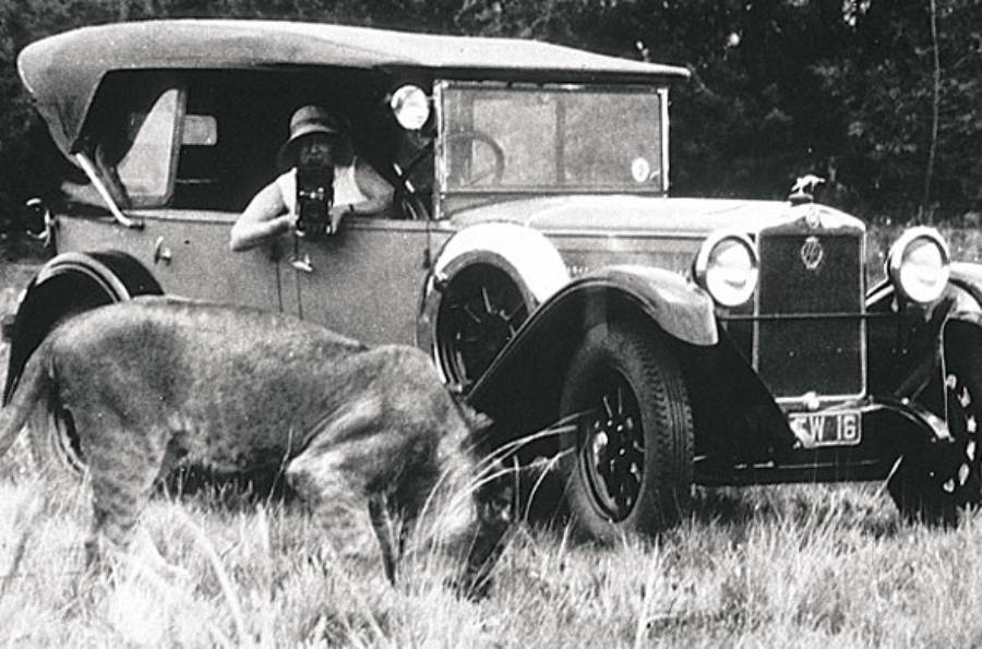 A woman in a vintage car aims a camera at a lion grazing in the grass near the vehicle, with trees visible in the background.