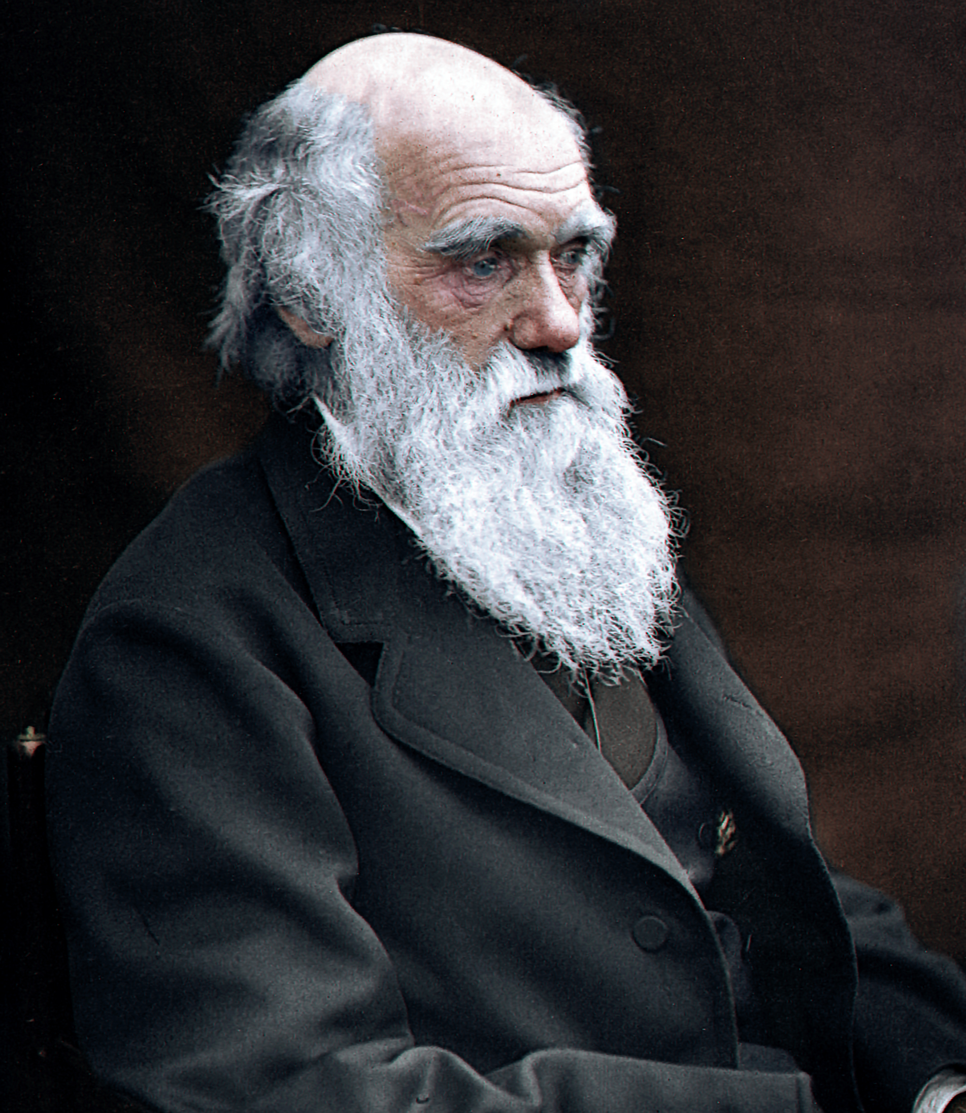 An older man with a long white beard and balding head, wearing a dark suit, sits and looks thoughtfully to the side against a plain background.