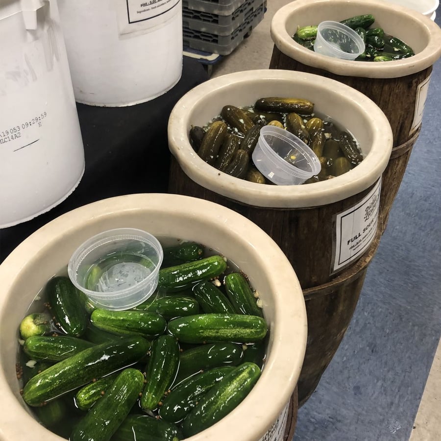 Three large ceramic barrels filled with pickles soaking in brine, each with a plastic container floating inside. The barrels are arranged in a row on a blue and tan floor.