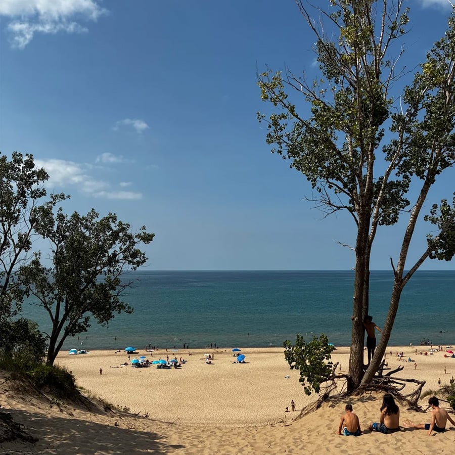 People relax on a sandy beach by a large lake, with trees framing the scene in the foreground and blue umbrellas scattered along the shore under a clear blue sky.