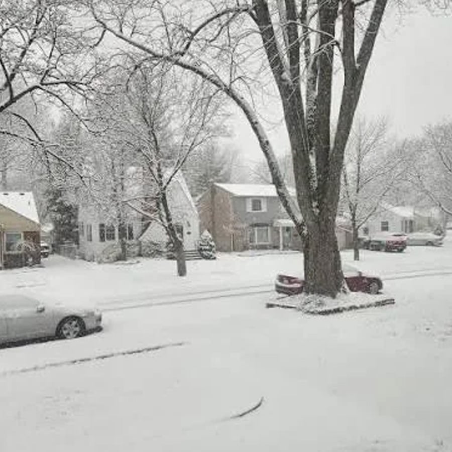 Snow covers a suburban neighborhood street, houses, cars, and trees, creating a quiet winter scene. The sky is gray, and the snow appears fresh, blanketing everything in white.