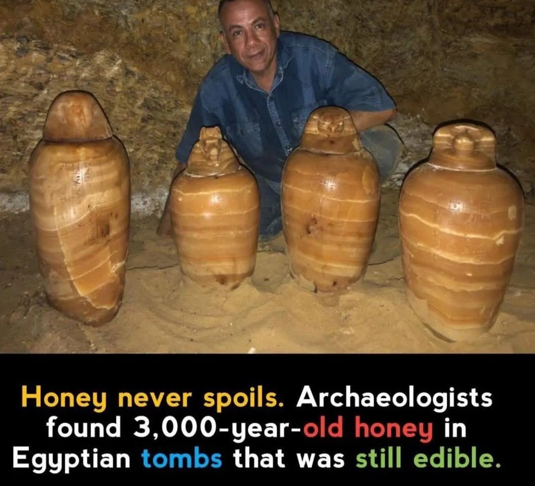 A man kneels behind four ancient jars in a tomb. Text states archaeologists found 3,000-year-old honey in Egyptian tombs that was still edible, illustrating that honey never spoils.