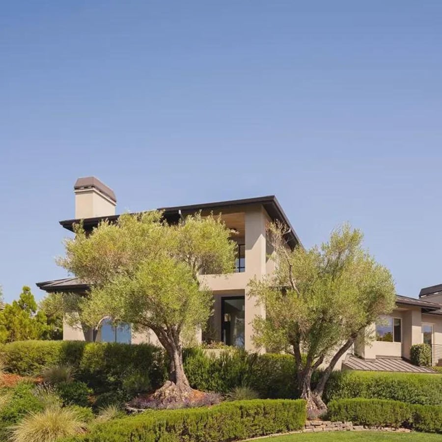 Modern two-story house with beige walls, large windows, and a flat roof, surrounded by green shrubs, manicured bushes, and two olive trees under a clear blue sky.