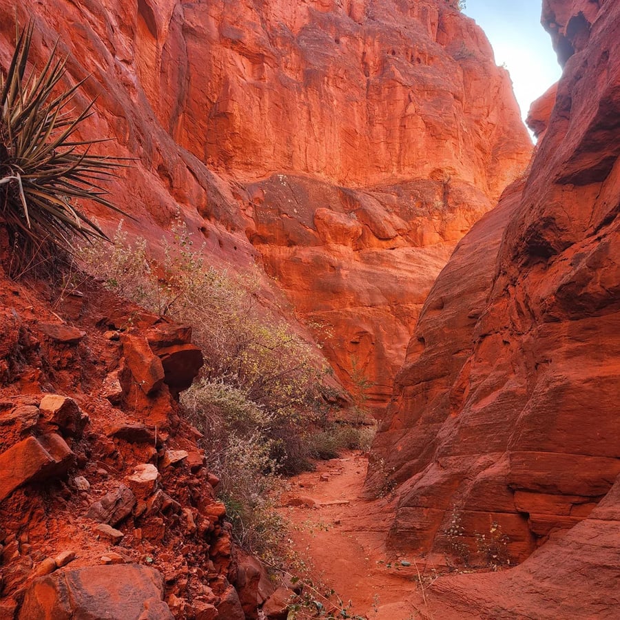 Narrow desert canyon with towering red rock walls, rugged terrain, and sparse vegetation under a mostly clear sky.