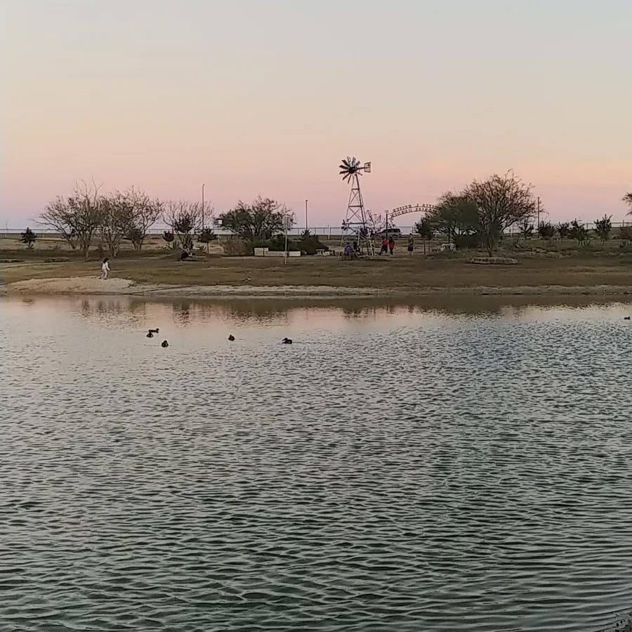 A calm lake with ducks swimming, trees on the shore, a few people walking, and a windmill in the background under a pastel evening sky.