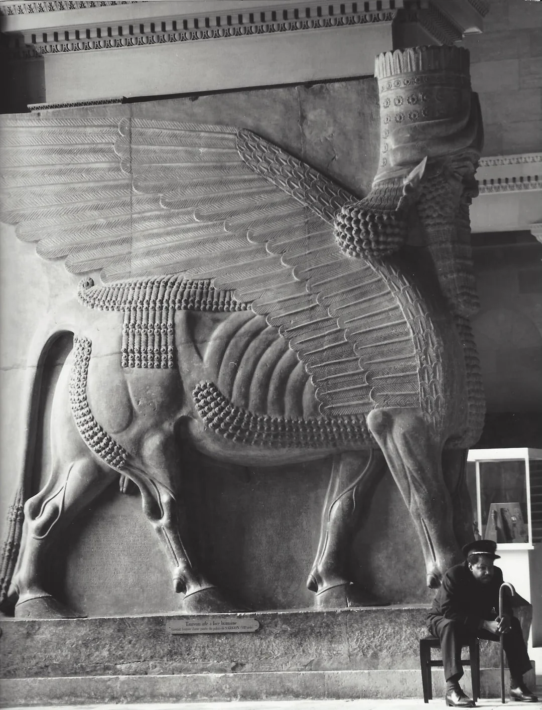 A person sits in front of a large ancient stone relief depicting a Lamassu, a mythological creature with a human head, wings, and a bull’s body, in a museum setting.