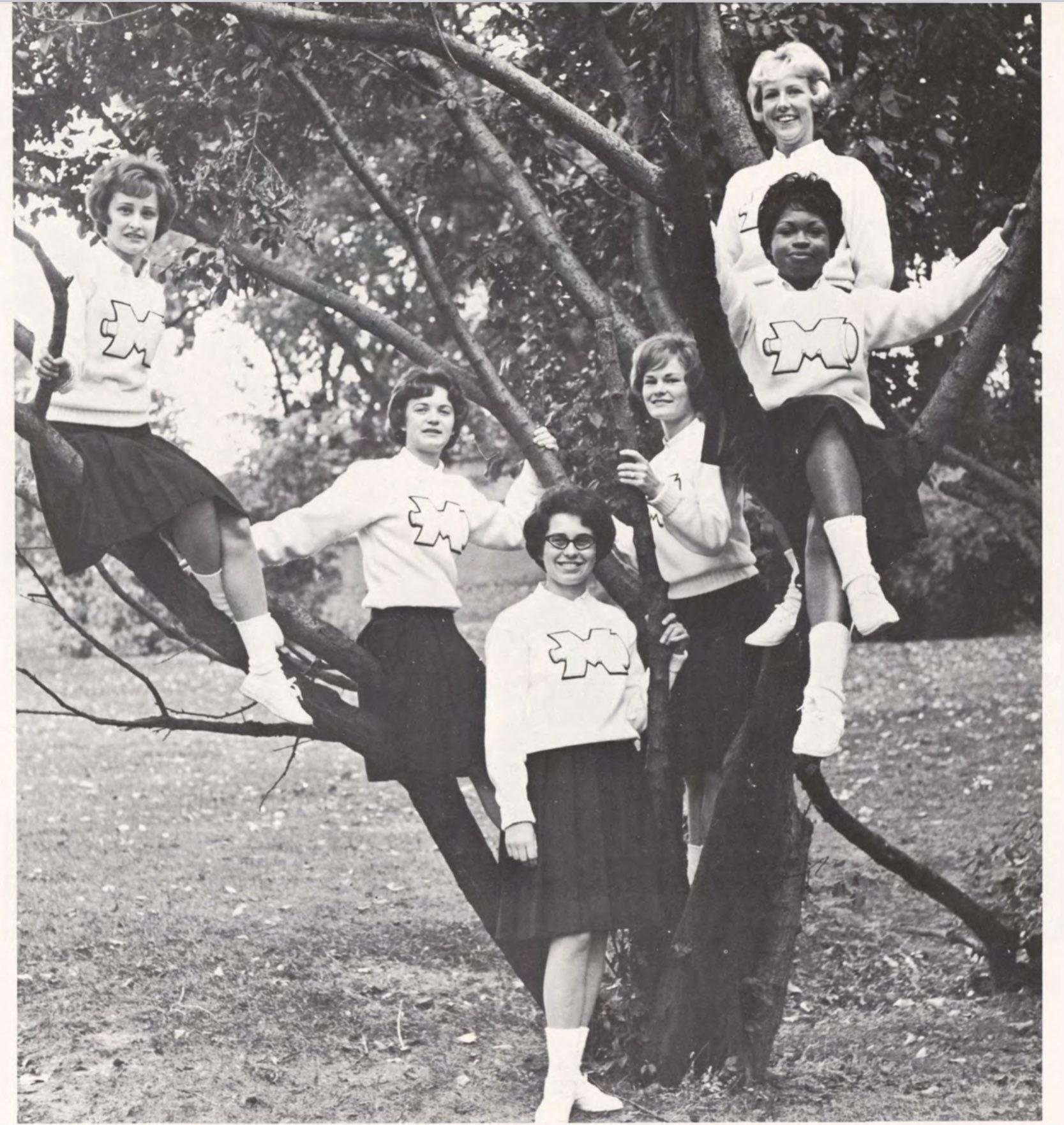 Six cheerleaders in matching outfits pose on and around a tree in a grassy outdoor setting. Four are seated on branches, while two stand below, all smiling at the camera.