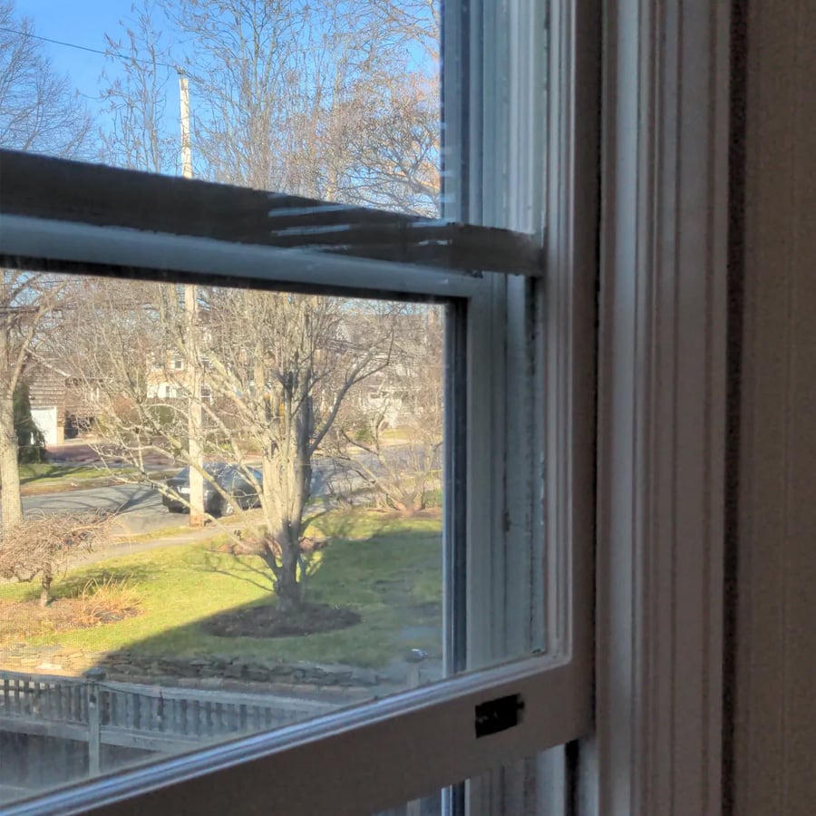 A view through a partially open window showing a yard with leafless trees, a road, and bright sunlight casting shadows on the grass and fence outside.