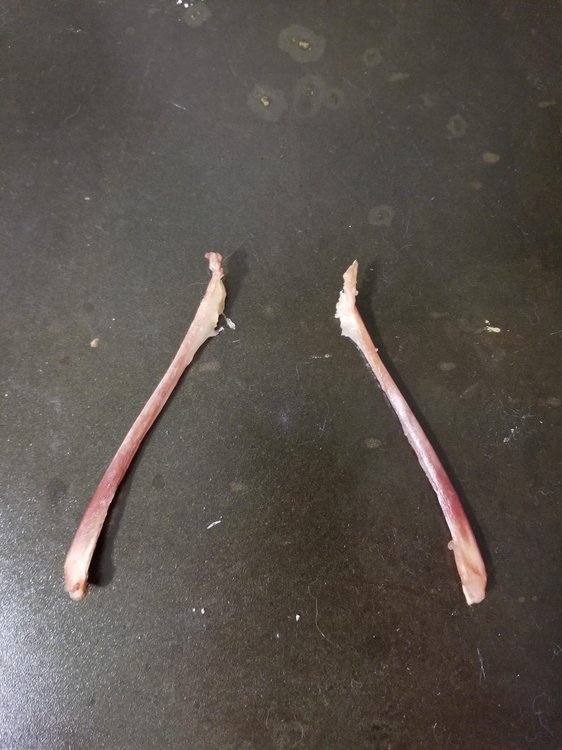 Two chicken wing bones, mostly stripped of meat, are placed parallel to each other on a dark surface.