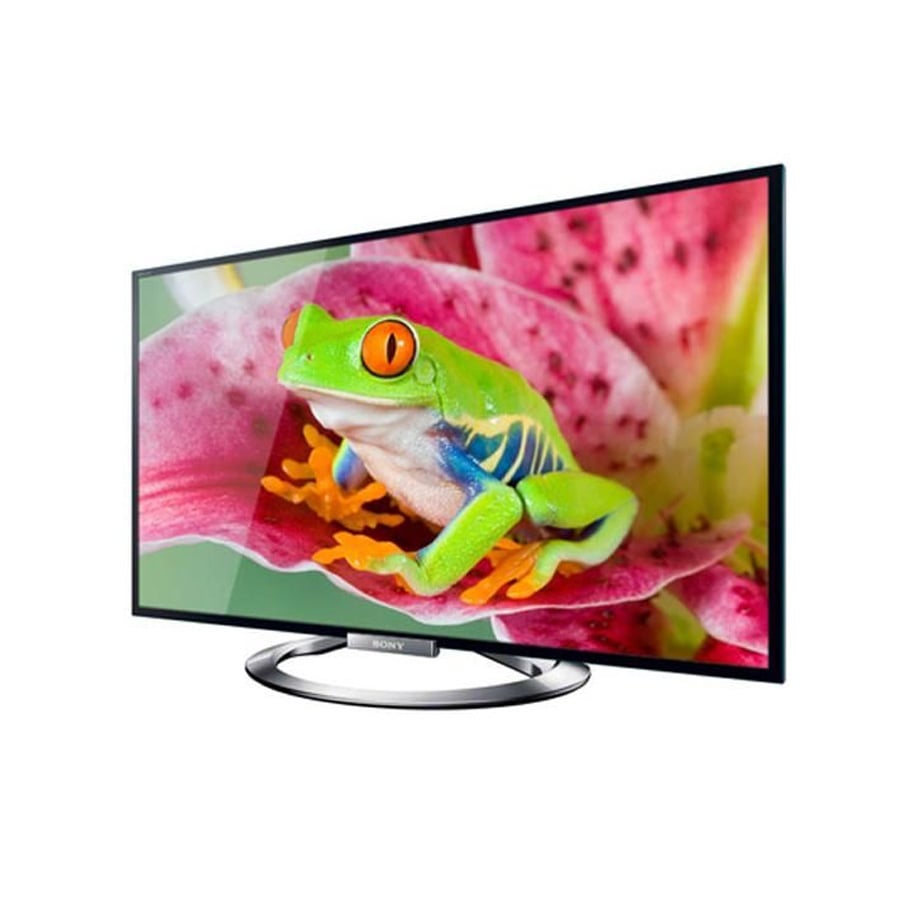 A flat-screen Sony TV displays a colorful image of a green and orange tree frog sitting on a pink flower, with a white background.