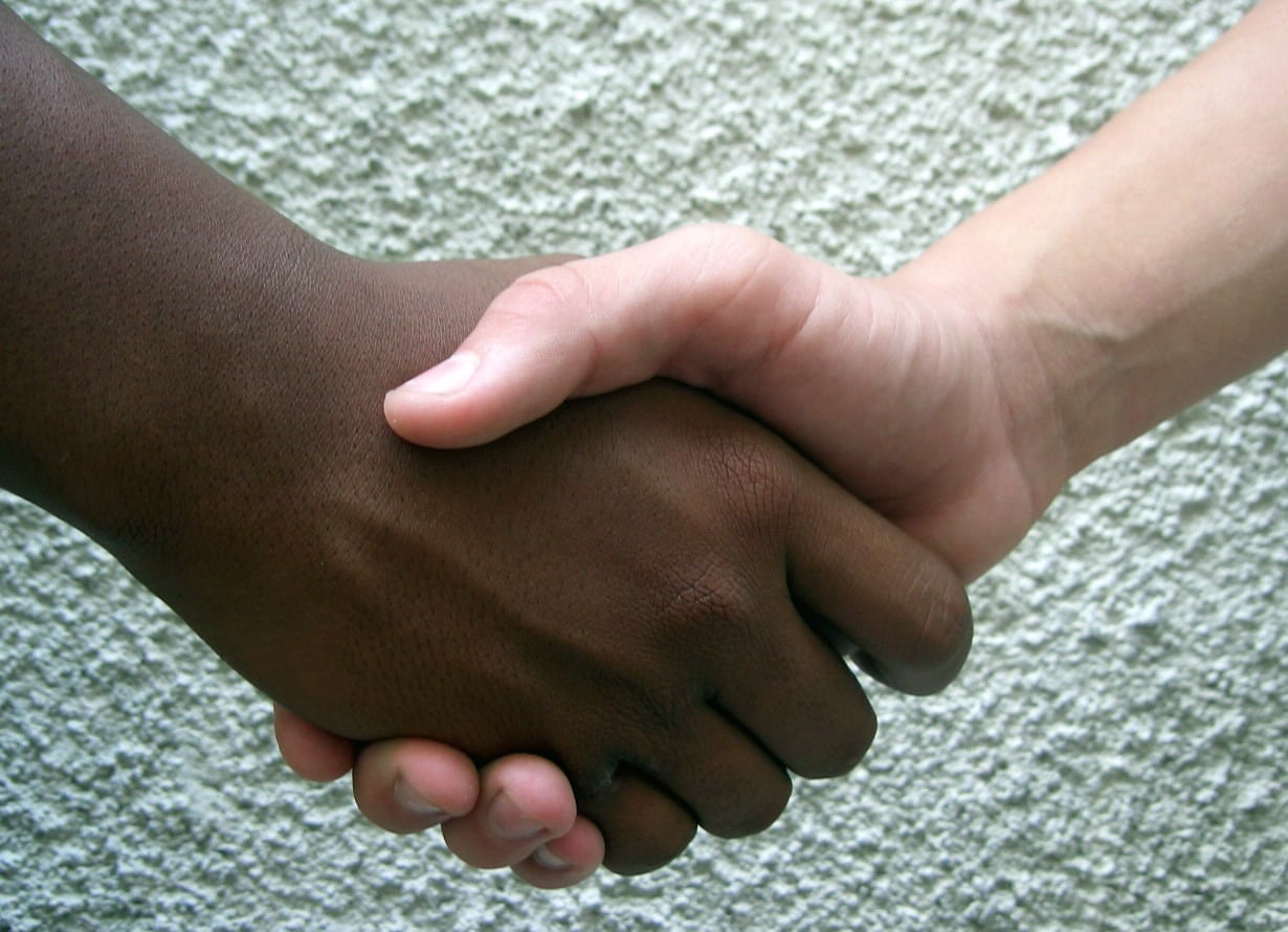 A close-up of two hands, one dark-skinned and one light-skinned, shaking hands in front of a textured, light-colored wall.