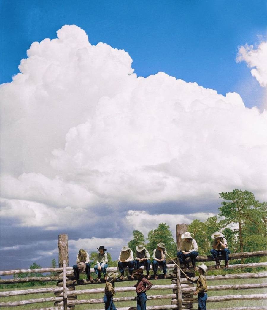 Nine people wearing cowboy hats sit and stand on a wooden fence under a bright blue sky with large white clouds and green trees in the background.
