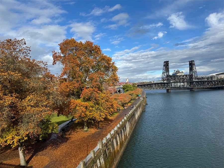 A river curves alongside trees with autumn foliage. A steel bridge crosses the water in the background under a partly cloudy sky. Fallen leaves cover the ground.