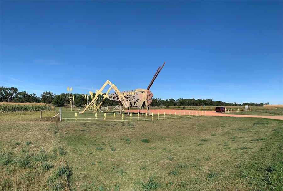 A giant grasshopper sculpture stands in a grassy field near a dirt road, with a red truck parked to the right and a clear blue sky overhead.