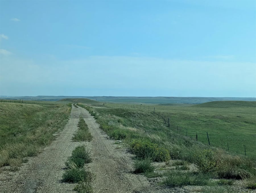 A dirt road stretches through open, grassy plains under a clear blue sky, with some low hills in the distance and scattered vegetation along the road.