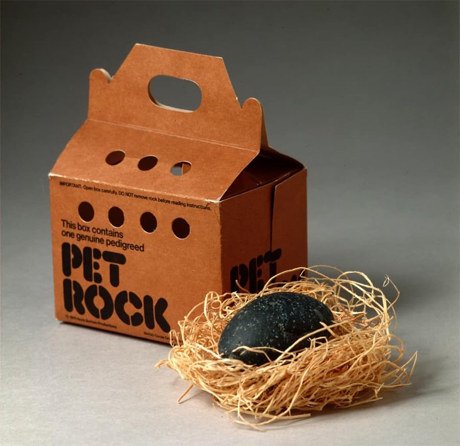 A black rock sits in a nest of straw next to a brown cardboard box labeled “PET ROCK.” The box has ventilation holes and a handle, resembling a pet carrier.