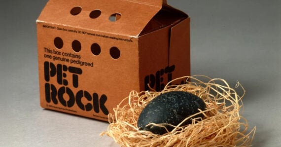 A black rock sits in a nest of straw next to a cardboard box labeled “Pet Rock,” which has ventilation holes and bold text on the side.