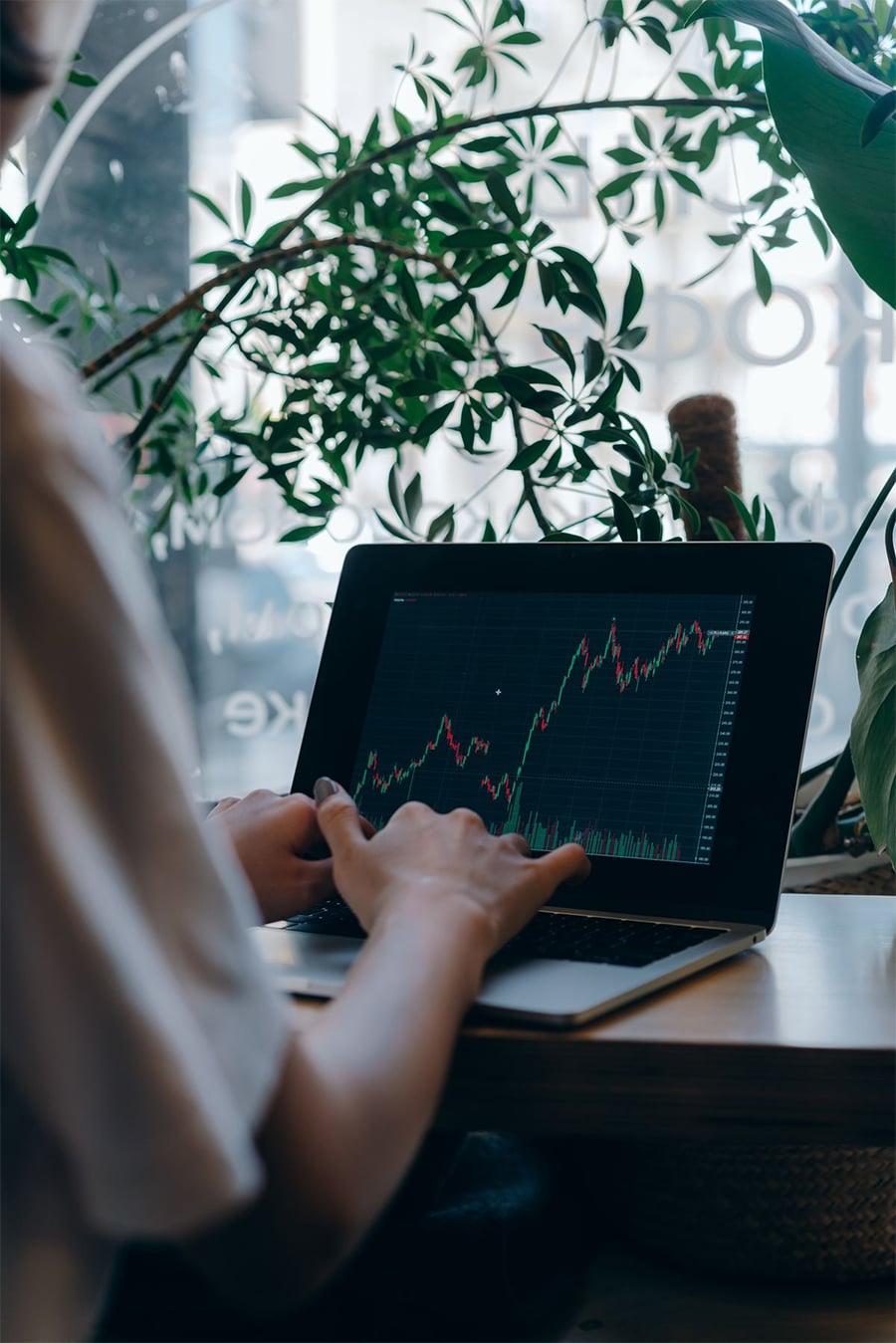 A person uses a laptop displaying a financial stock chart with green and red lines, seated by a window with leafy plants in the background.
