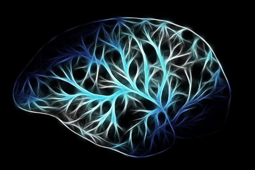 A digital illustration of a human brain with glowing blue and white branching lines, resembling neural networks, set against a black background.