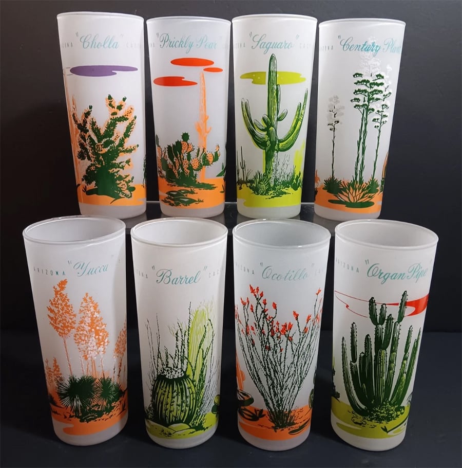 Eight frosted glasses with colorful illustrations and names of different cacti, including Cholla, Prickly Pear, Saguaro, Century Plant, Yucca, Barrel, Ocotillo, and Organ Pipe, arranged in two rows of four against a dark background.