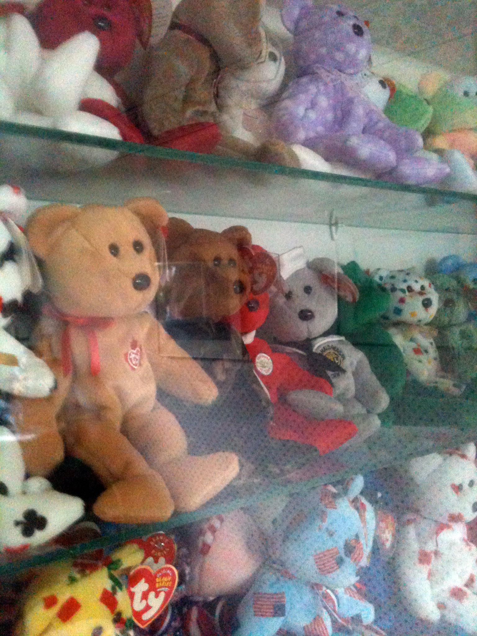 A collection of Beanie Babies, including bears in various colors, is displayed on glass shelves inside a cabinet. Some have heart-shaped “Ty” tags visible.