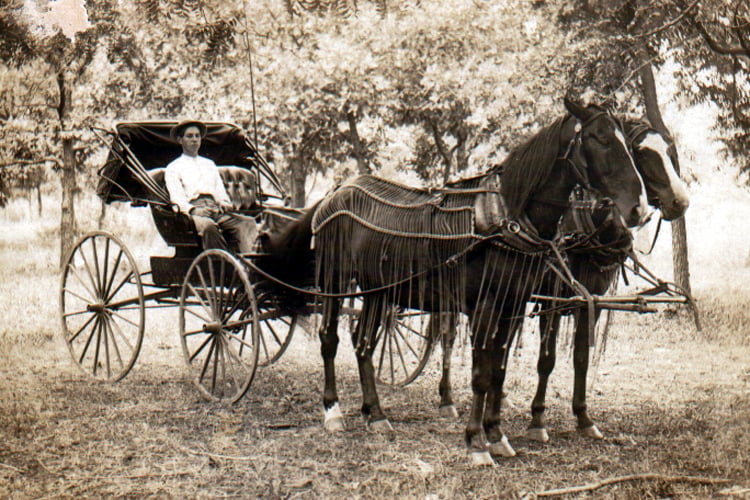 A man wearing a hat sits in a horse-drawn carriage outdoors among trees. The carriage is vintage with large wheels, and two horses are harnessed at the front. The photo appears to be old and sepia-toned.