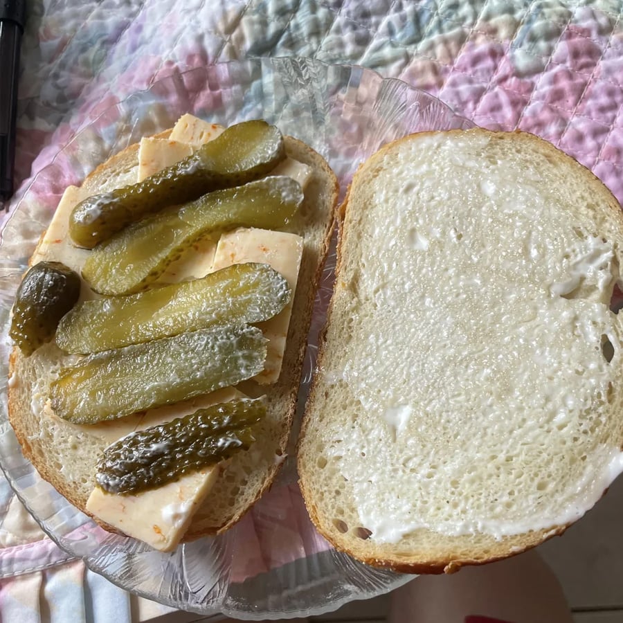An open-faced sandwich with cheese slices and pickle spears on one half, and mayonnaise spread on the other, sits on a clear plate atop a pastel-patterned quilt.