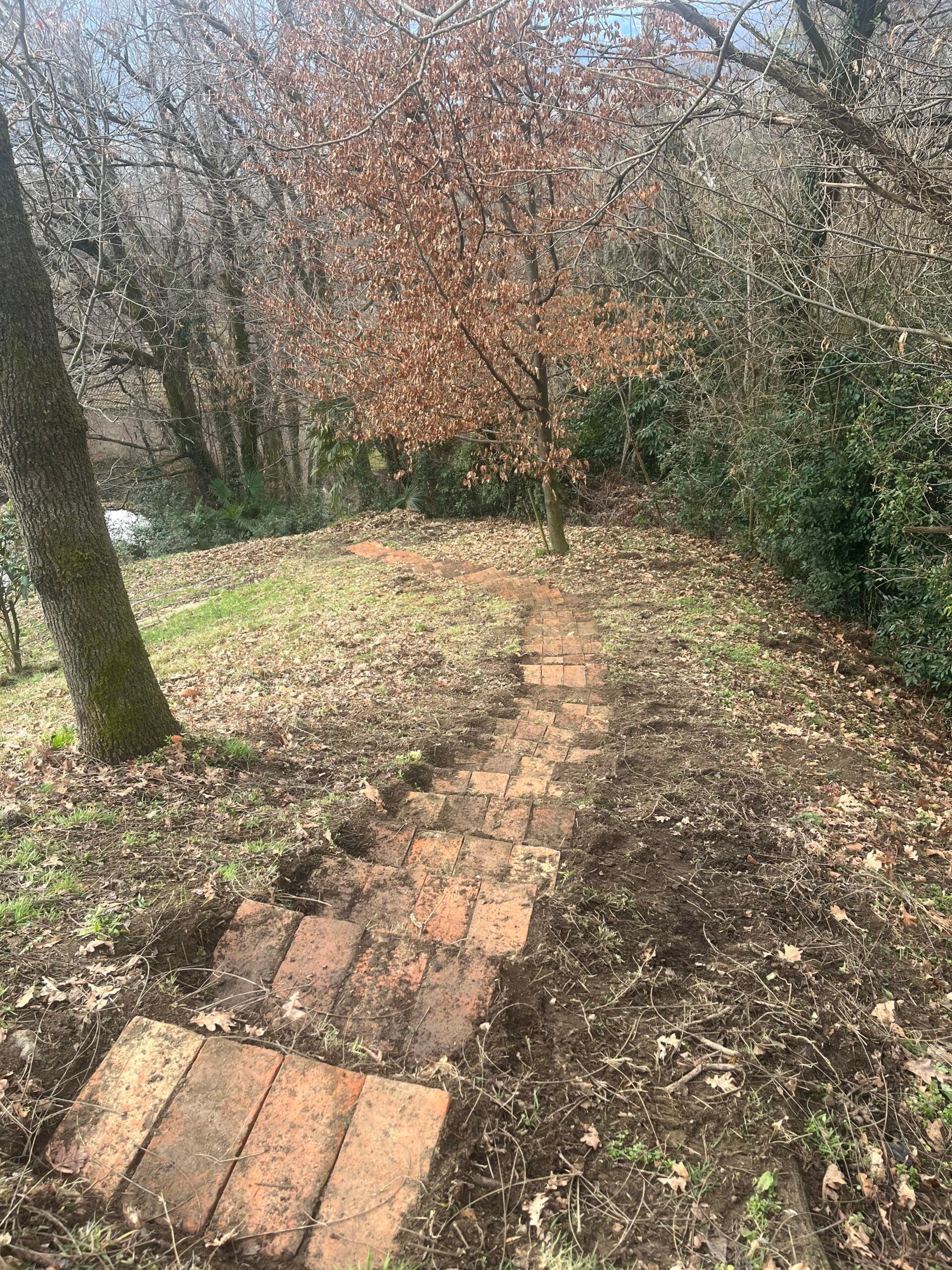 A path made of old bricks winds downhill through a grassy area with scattered trees and a leafless tree at the end, surrounded by forest.
