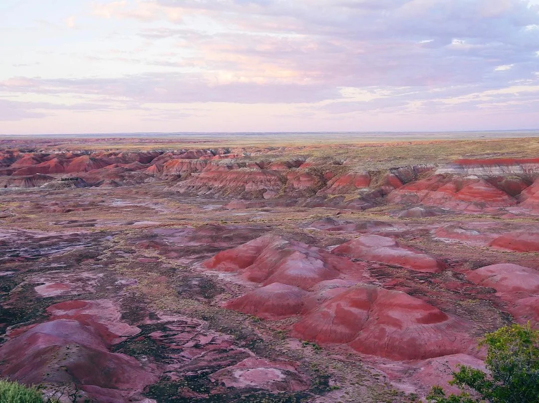 Wide view of painted desert landscape with pink, red, and purple hues under a pastel sky. Eroded hills and flatlands stretch into the distance.