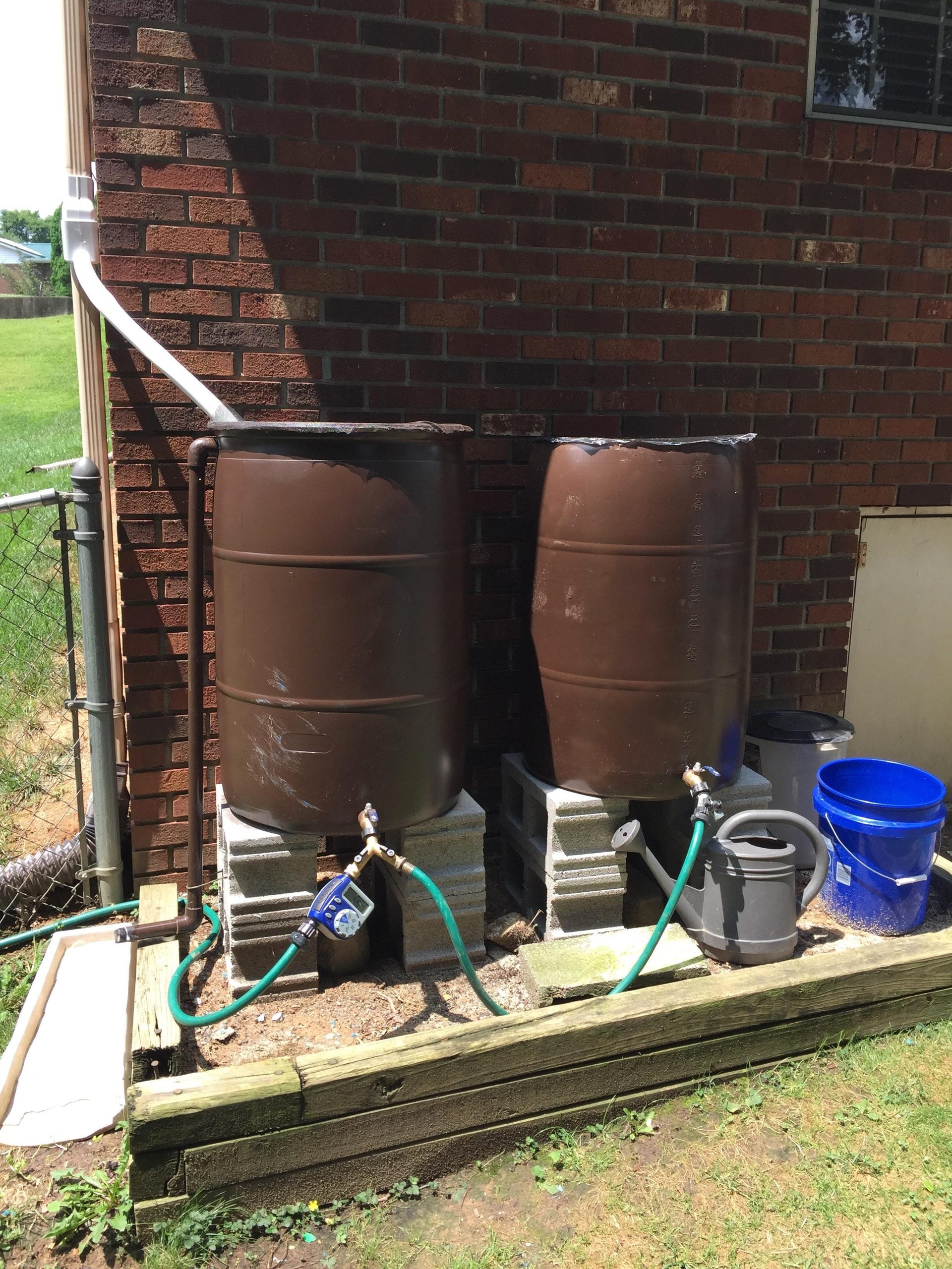 Two brown rain barrels sit on cinder blocks against a brick wall, connected to a gutter pipe. Green hoses attach to the barrels, with a watering can and blue buckets nearby on the ground.