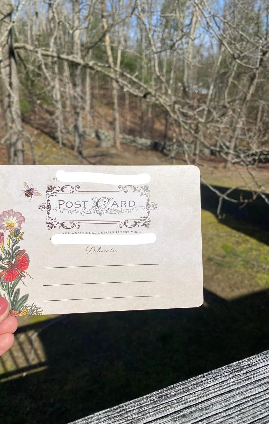 A hand holds a floral postcard with blank spaces for writing; leafless trees and a grassy yard are visible in the sunny background.
