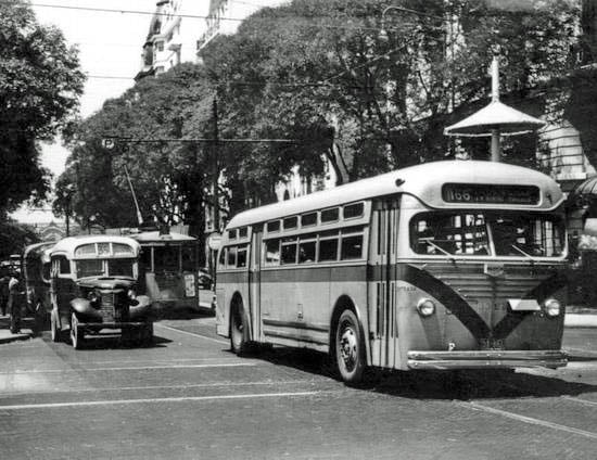 Black and white photo of vintage buses and a tram on a tree-lined city street, with buildings in the background and people standing near the vehicles.