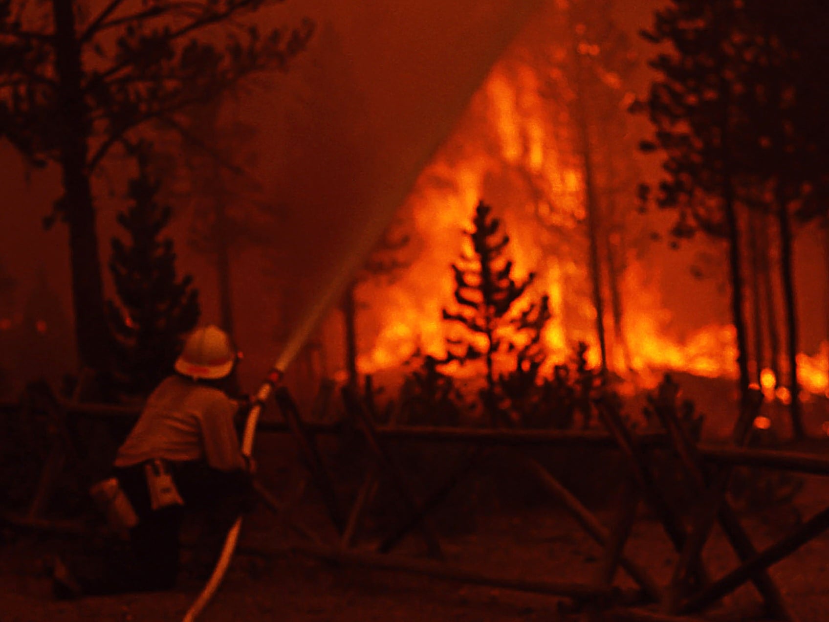 A firefighter kneels and sprays water from a hose toward large flames engulfing trees in a forest at night. The intense orange glow from the fire lights up the scene.