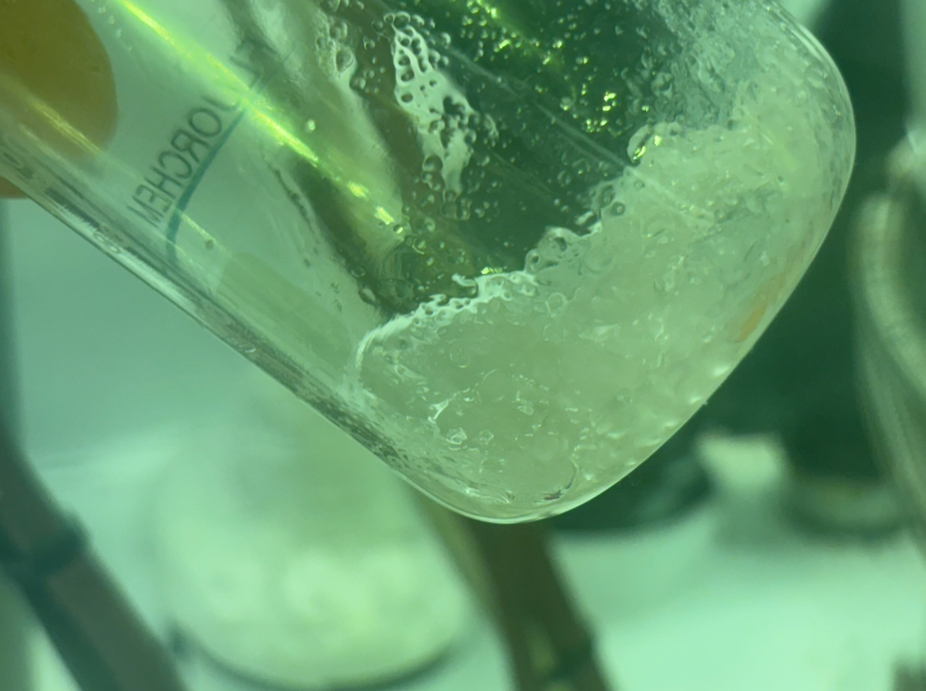 Close-up of a glass beaker containing a translucent, gel-like substance with bubbles, set against a blurred laboratory background.