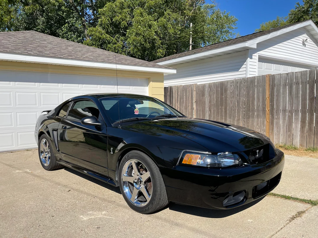 A shiny black Ford Mustang coupe is parked on a concrete driveway in front of a closed white garage, with trees and a wooden fence in the background.