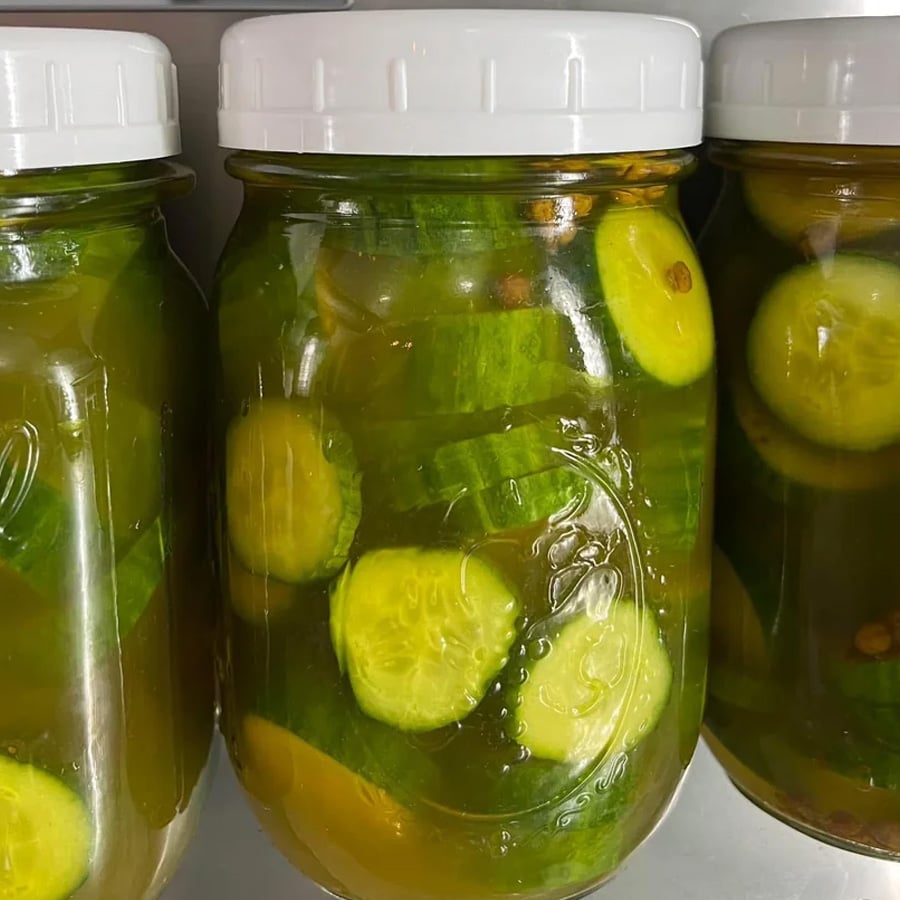 Three jars filled with sliced pickles in brine, sealed with white plastic lids, are closely placed next to each other. The jars are transparent, showing green cucumber slices and seeds inside.