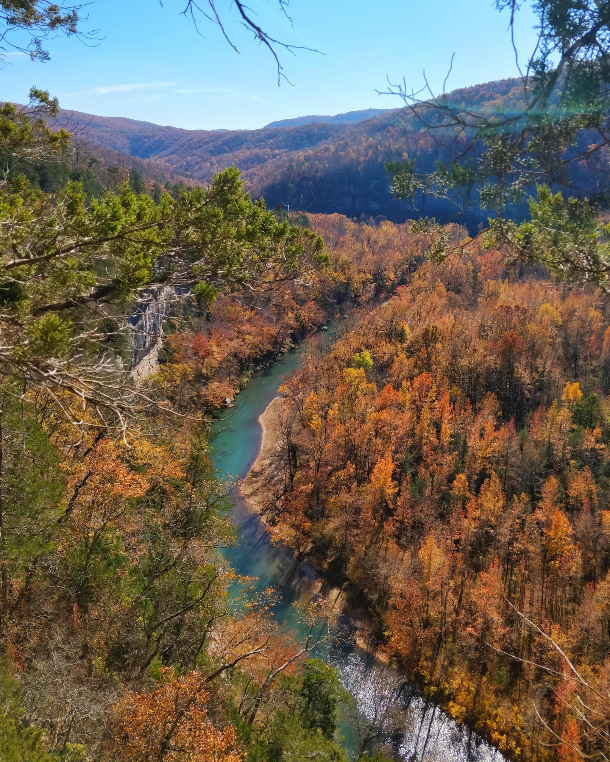 A winding river cuts through a forest of colorful autumn trees, viewed from above, with distant hills under a clear blue sky.