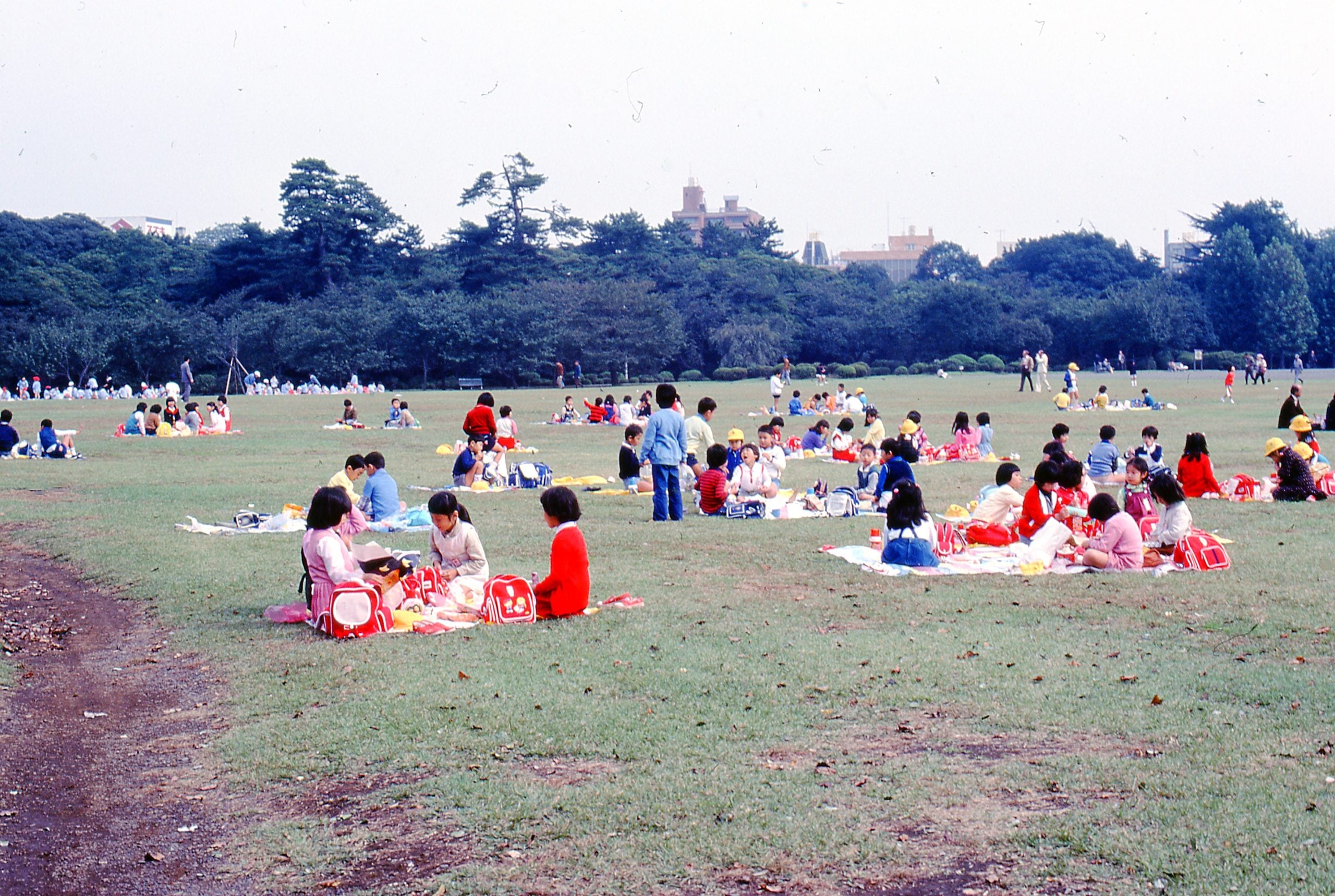 Groups of people, including many children, sit on blankets enjoying a picnic on a large grassy field surrounded by trees under a clear sky.