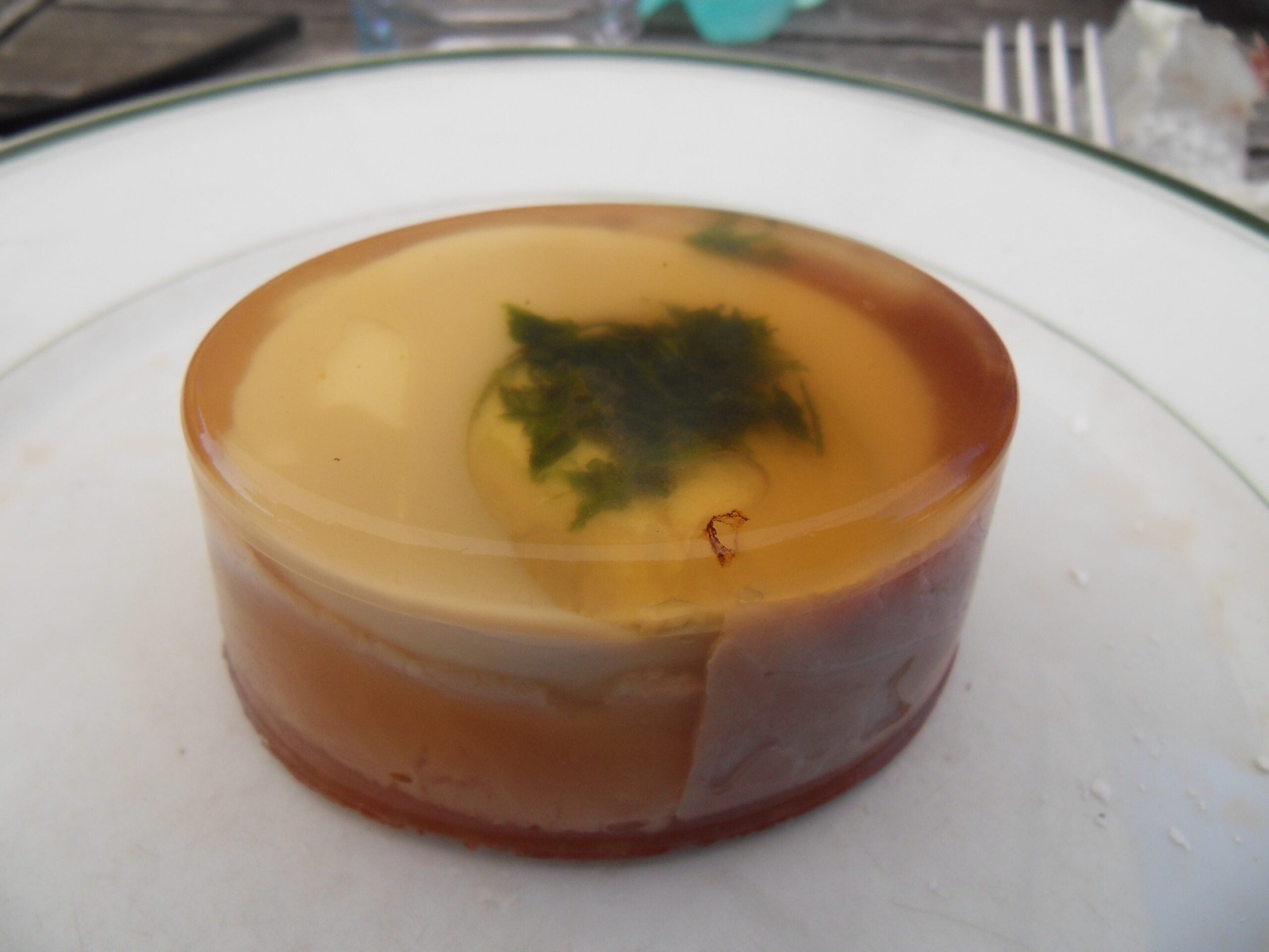 A round slice of aspic with herbs and meat inside sits on a white plate. The gelatin is clear and slightly brown, showing the ingredients suspended inside.